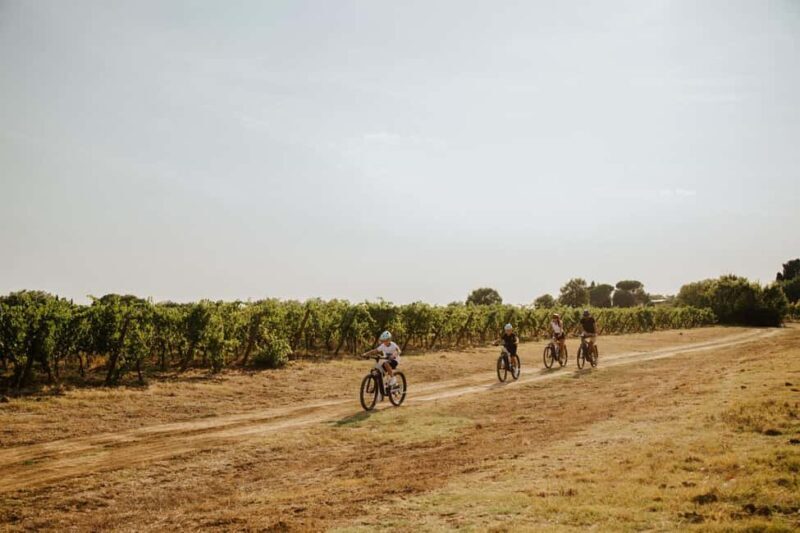 Cortona: Val di Chiana E-Bike Tour with Optional Wine Lunch - Final Thoughts: Who Should Consider This Experience?