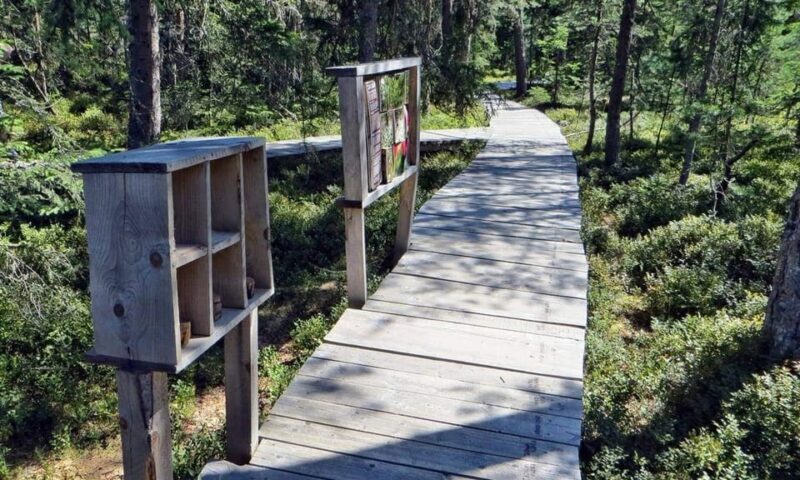 Corund, HR: Backcountry Gastro Tour with Lunch and Dinner - Key Points