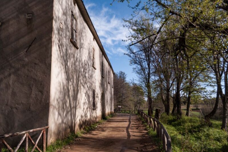 Cosenza: Giants of the Sila - Who Should Consider This Tour?