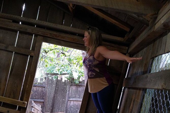 Cosmos Mystery Area Admission - What’s the Cosmos Mystery Area All About?