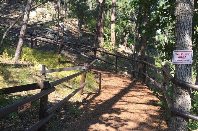 Cosmos Mystery Area Admission - Accessibility and Practical Tips