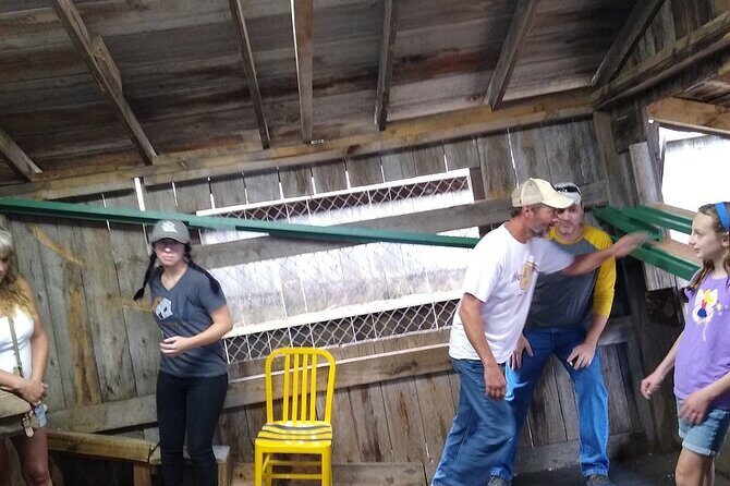 Cosmos Mystery Area Admission - Final Thoughts