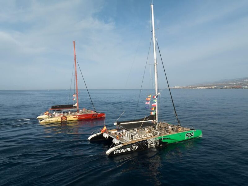 Costa Adeje: Masca and Los Gigantes Whale Watching Cruise - Key Points