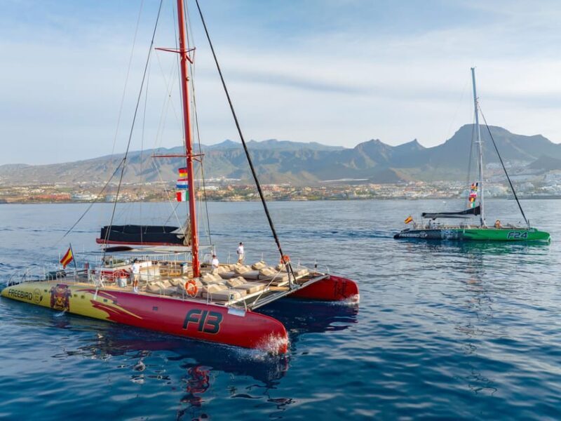 Costa Adeje: Masca and Los Gigantes Whale Watching Cruise - Setting Sail from Costa Adeje