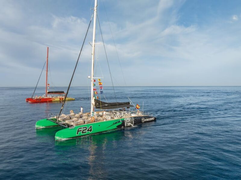 Costa Adeje: Masca and Los Gigantes Whale Watching Cruise - The Scenic Stops: Masca and Los Gigantes