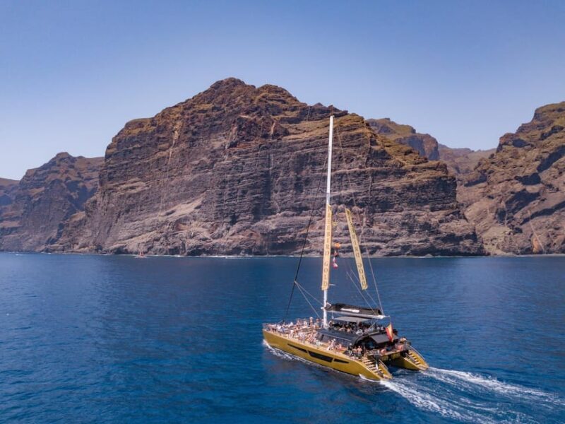 Costa Adeje: Masca and Los Gigantes Whale Watching Cruise - Pricing and Value