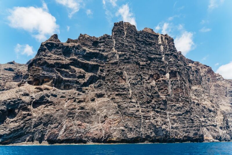 Costa Adeje: Masca and Los Gigantes Whale Watching Cruise - Who Is This Tour Best For?