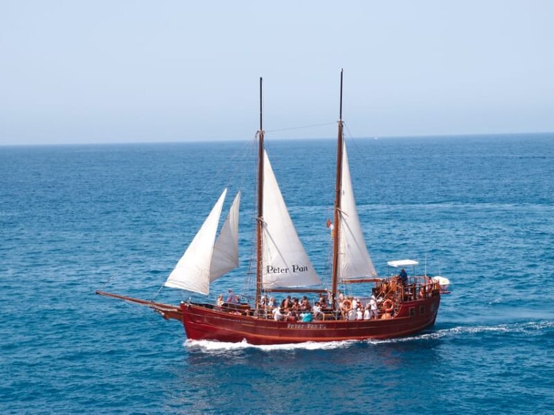 Costa Adeje: Respectful Whale Watching on Wooden Boat & Swim - Key Points