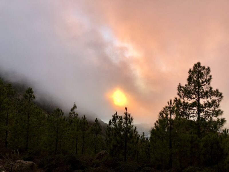 Costa Adeje: Tandem Paragliding Flight with Free Pickup - What to Expect from the Paragliding Experience