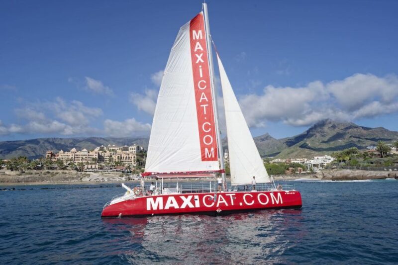 Costa Adeje: Whale and Dolphin Cruise with Food and Pickup - The Food & Drinks