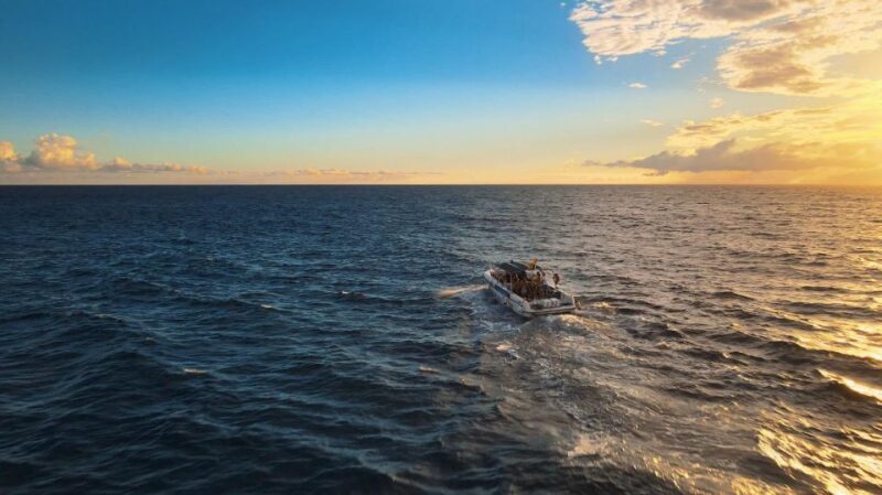 Costa Adeje: Whale and Dolphin-Watching Boat Excursion - Itinerary Breakdown