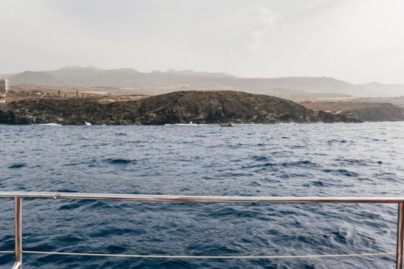 Costa Adeje: Whale & Dolphin Eco-Cruise with Snacks & Drinks - FAQ