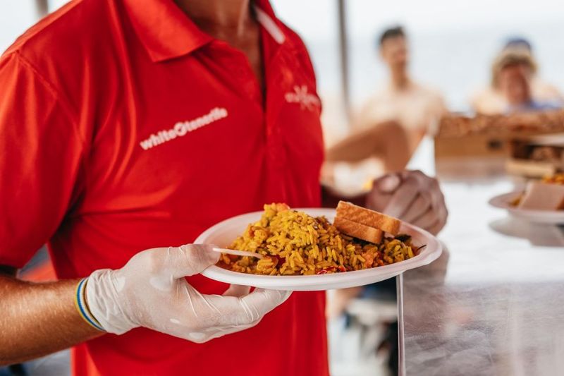 Costa Adeje: Whale & Dolphin Eco-Cruise with Snacks & Drinks - Snacks, drinks, and the wine detail (3-hour vs extended)