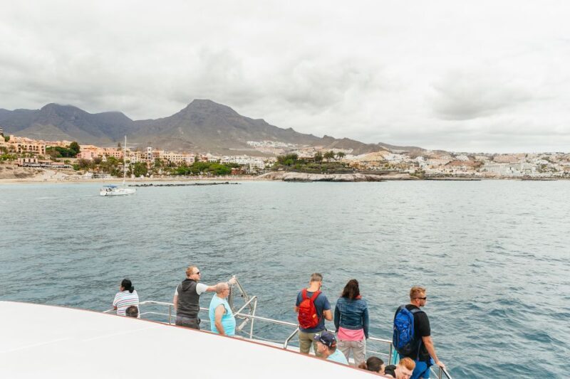 Costa Adeje: Whale & Dolphin Submarine Vision Mini Cruise - FAQ