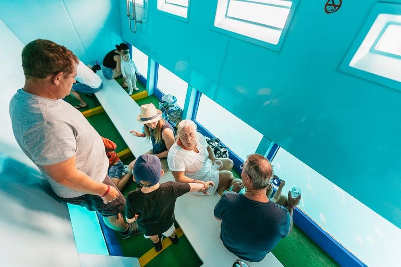 Costa Adeje: Whale & Dolphin Submarine Vision Mini Cruise - View point and photo stop: good for watching, better for photos than you’d expect