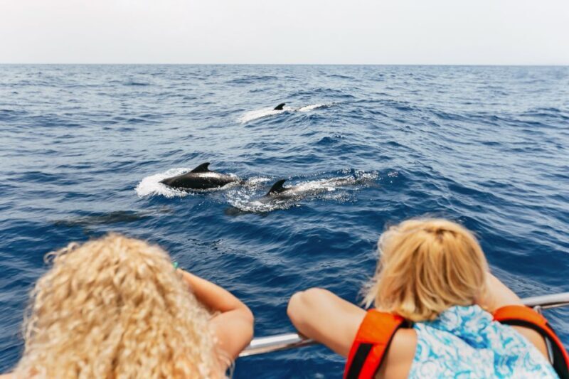 Costa Adeje: Whale Watching Catamaran Tour with Drinks - Costa Adeje: Whale Watching Catamaran Tour with Drinks – An Honest Look