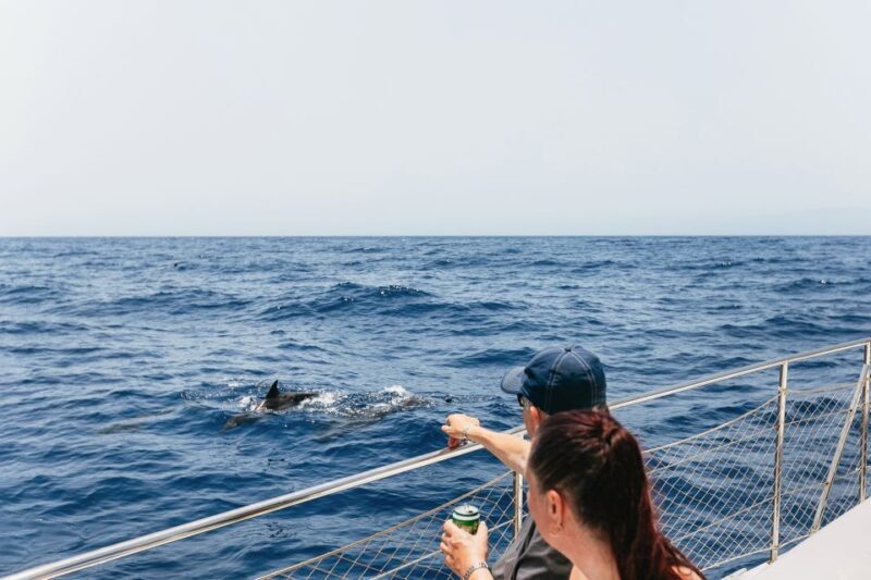 Costa Adeje: Whale Watching Catamaran Tour with Drinks - Key Points