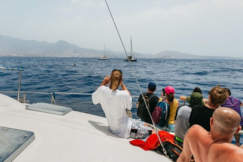 Costa Adeje: Whale Watching Catamaran Tour with Drinks - Pricing and Value