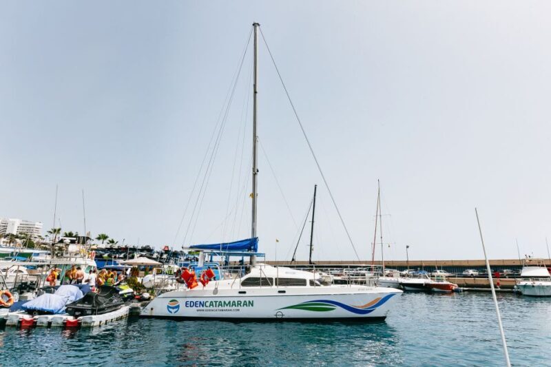 Costa Adeje: Whale Watching Catamaran Tour with Drinks - FAQs