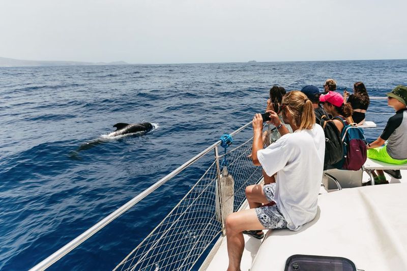 Costa Adeje: Whale Watching Catamaran Tour with Drinks - The snorkel stop at Playa Espagueti: short time, big payoff