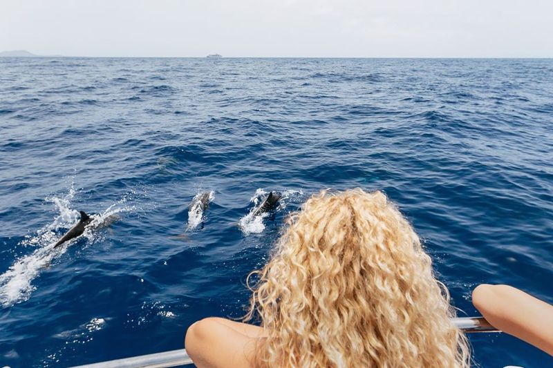 Costa Adeje: Whale Watching Catamaran Tour with Drinks - Crew and guides: the spotting and the respect both matter