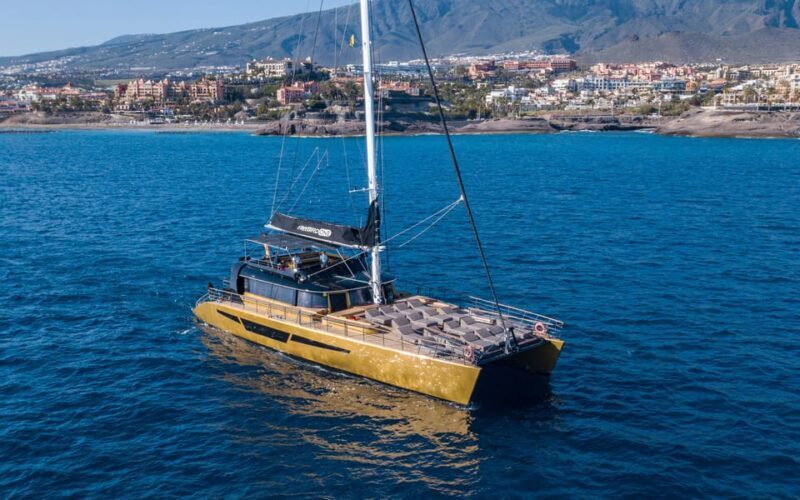 Costa Adeje: Whale Watching Cruise with Snack and Drinks - Setting Sail from Costa Adeje