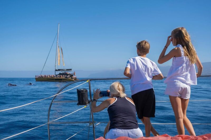 Costa Adeje: Whale Watching Cruise with Snack and Drinks - Swimming and Relaxation