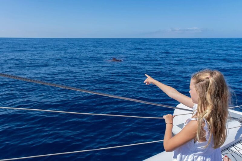Costa Adeje: Whale Watching Cruise with Snack and Drinks - Real Travelers’ Experiences