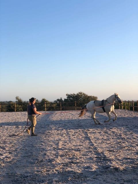 Costa Alentejana: Horse tour in Serra de Grândola - The Scenic Highlights & Photo Opportunities
