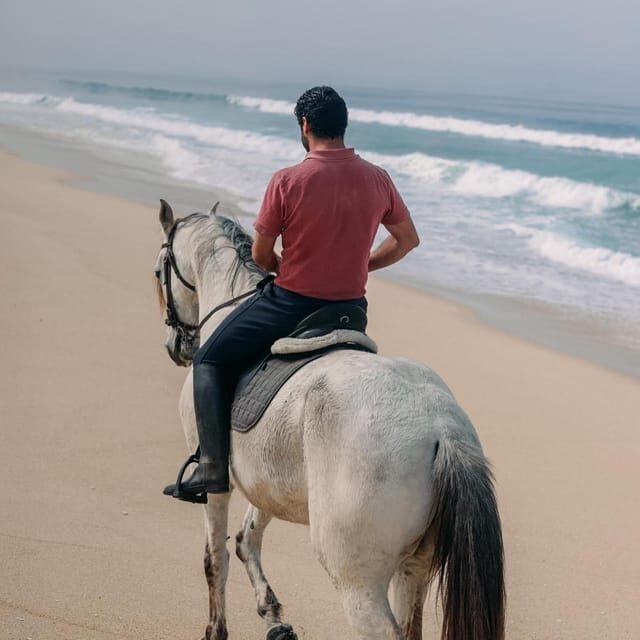 Costa Alentejana: Horse tour in Serra de Grândola - Practical Tips for Making the Most of It