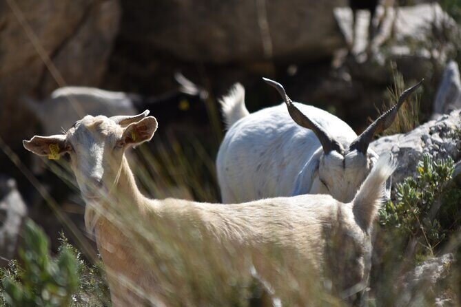 Costa Blanca Full-day Off Road Tour - Final Thoughts