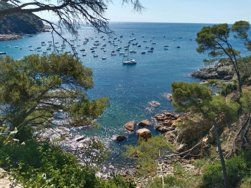 Costa Brava and Medieval Villages Full Day Tour - Key Points