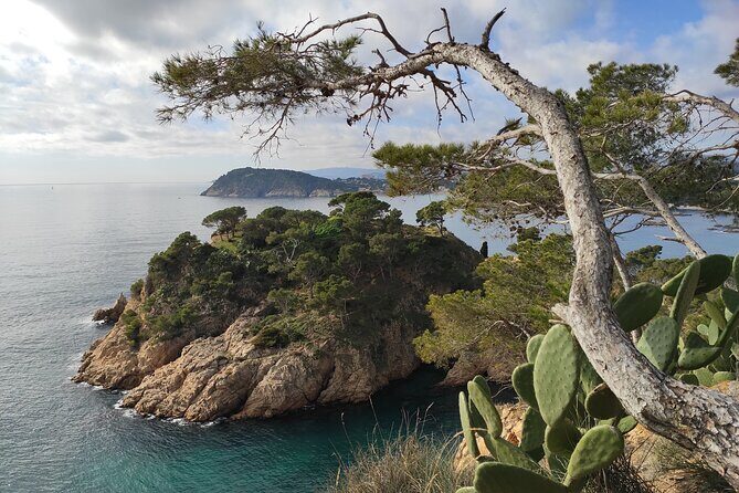 Costa Brava Coast Hike and Snorkel from Barcelona with Lunch - Final Thoughts: Is This Tour Right for You?