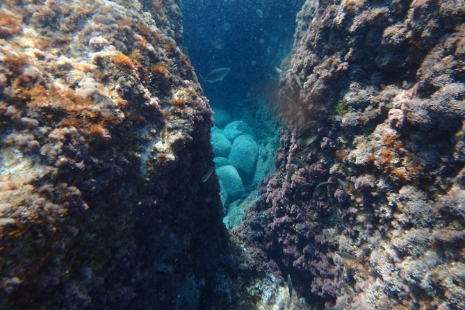 Barcelona Costa Brava Kayak, Snorkel & Cliff Jump Day Tour - Weather Considerations