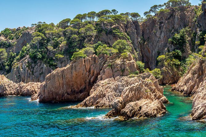 Costa Brava Day Adventure: Trails, Snorkel, Cliff-Jump & Meal - Real Traveler Feedback: Authentic Insights
