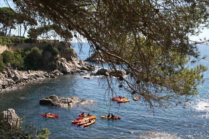 Costa Brava Guided Kayak and Snorkeling Excursion in Playa de Aro - What to Expect from Your Day on the Water