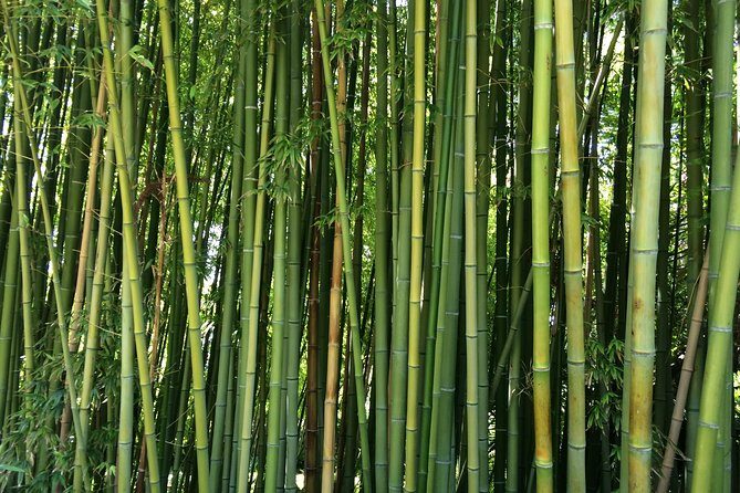 Costa Brava & Medieval Village Small Group Tour Including Lunch - Final Thoughts