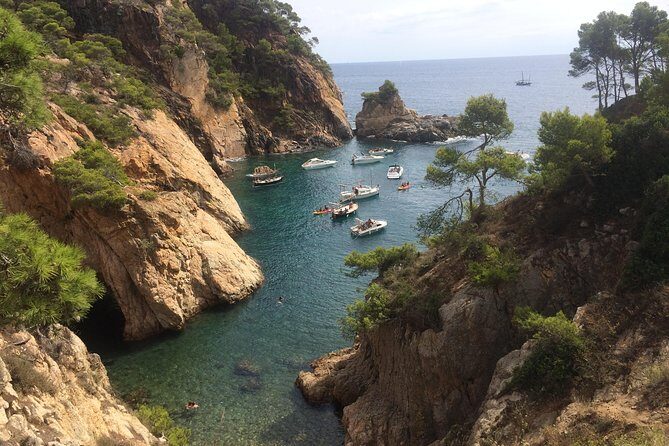 Costa Brava Scenic Hike & Tossa de Mar Small Group Tour - An In-Depth Look at the Experience