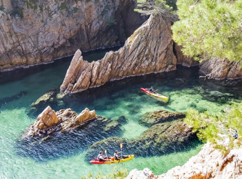Costa Brava: Sea Caves Kayaking and Snorkeling Tour - A Deep Dive into the Experience