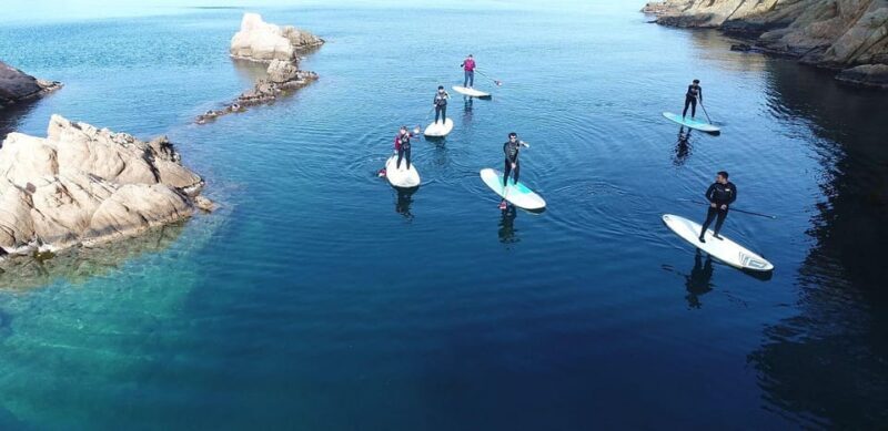 Costa Brava: Stand-Up Paddleboarding Lesson and Tour - How Does It Compare in Terms of Value?