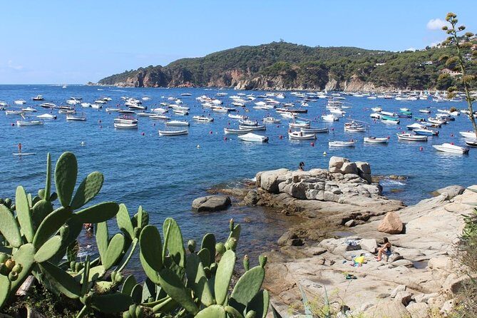 Costa Brava Typical Towns full day tour from Barcelona - Who Should Consider This Tour?