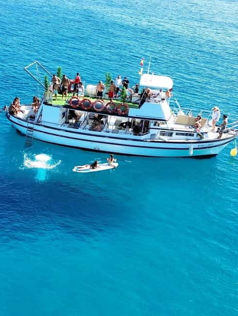 Costa Calma: Fuerteventura Dolphin Watching Boat Tour - A Closer Look at What to Expect