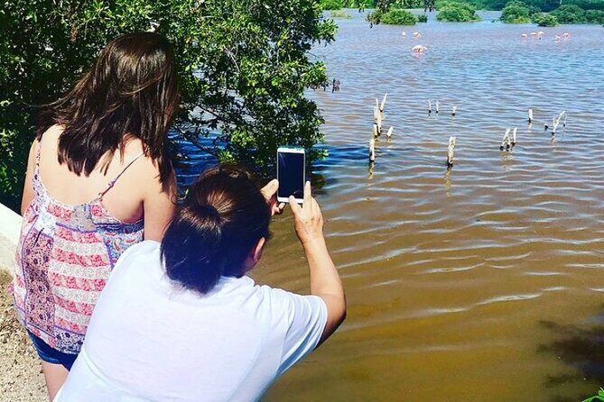 Costa Esmeralda 5 en 1 - What the Tour Includes and How It Works