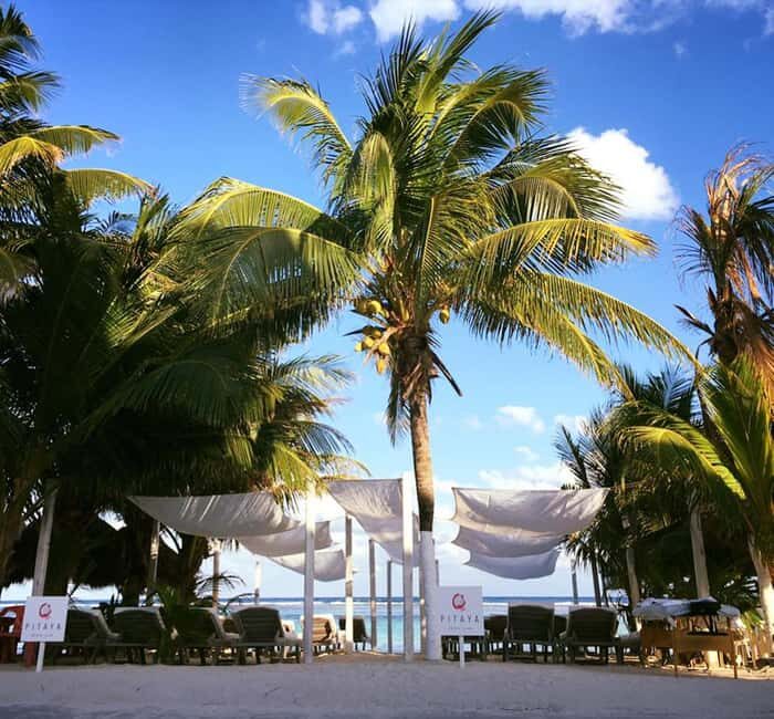 Costa Maya: Beach with Open Bar, Massage, Lunch & Snorkeling - What to Expect on Your Day at Pitaya Beach Club