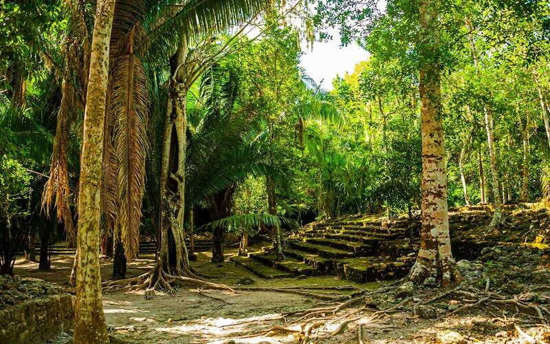 Costa Maya: Chacchoben Mayan Ruins Private Cruise Excursion - Transportation and Group Size