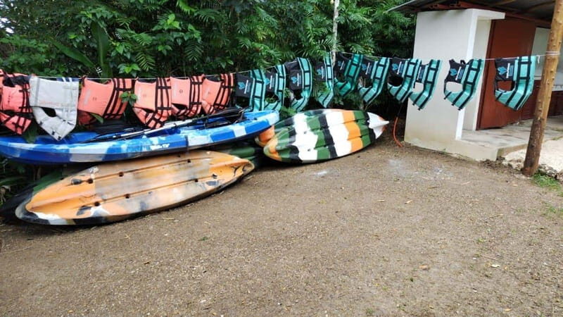 Costa Maya: Chacchoben Ruin, 7 Colors Lagoon Shore Excursion - Who Is This Tour Best For?