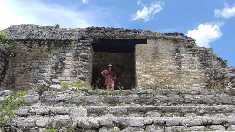 Costa Maya: Mayan ruins and jungle - The Jungle and Natural Flora