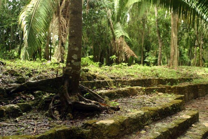 Costa Maya Shore Excursion: Chacchoben Day Trip - Who Will Love This Tour?