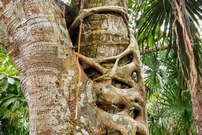 Costa Maya Shore Excursion: Chacchoben Day Trip - FAQ About the Chacchoben Day Trip