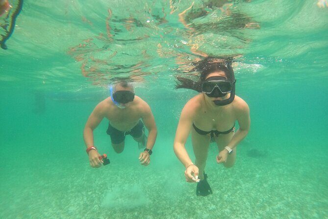 Costa Maya, snorkeling on the reef with fish, looking for turtles - Weather & Conditions: Things to Keep in Mind